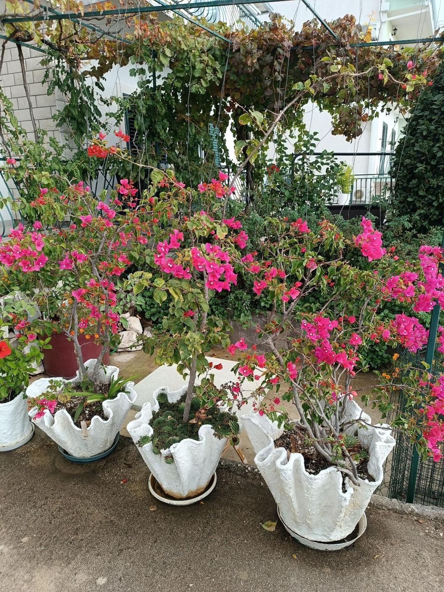 Apartment Ante 布雷拉 外观 照片