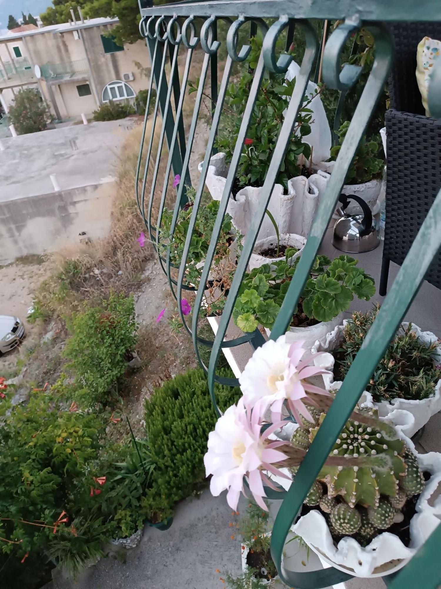 Apartment Ante 布雷拉 外观 照片